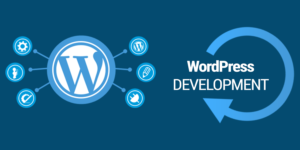 wordpress developers